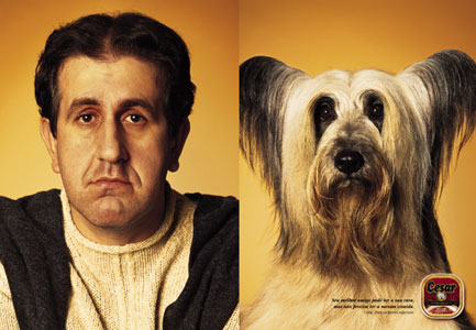 People and their dogs